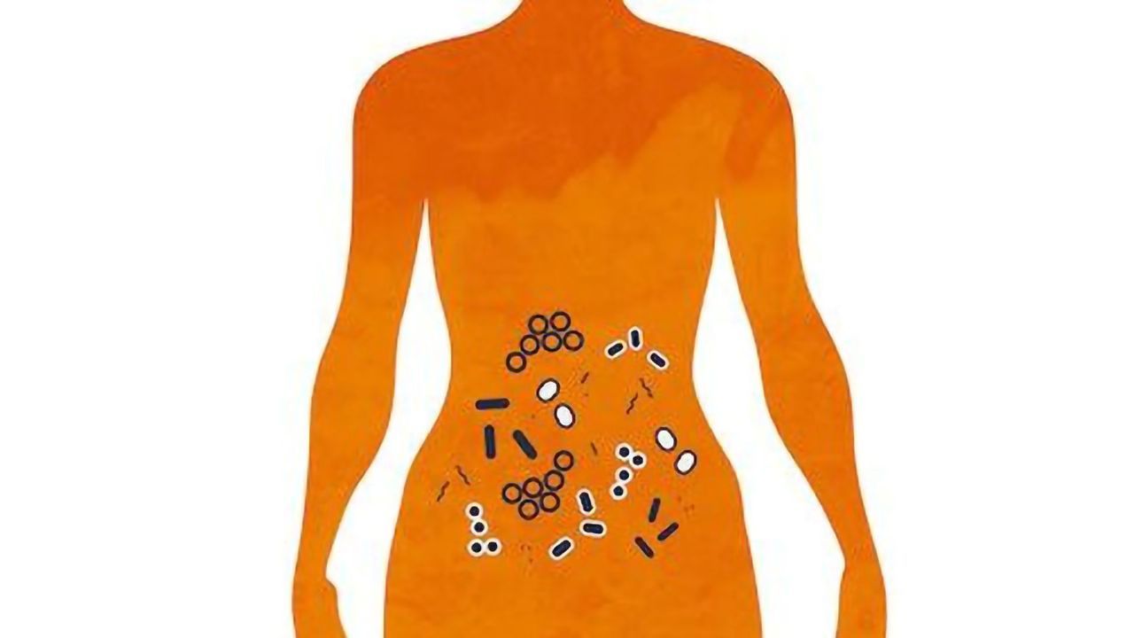Diet and Gut Microbes Influence Chemotherapy Outcomes