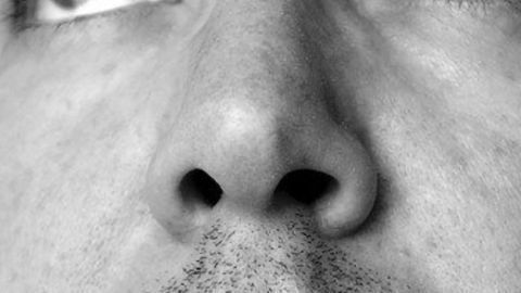 What Stops Viruses From Entering the Brain via the Nose?