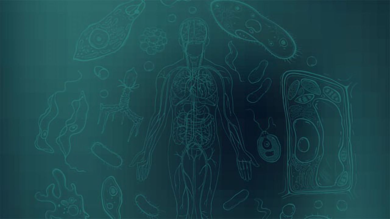 Million Microbiomes from Human Project