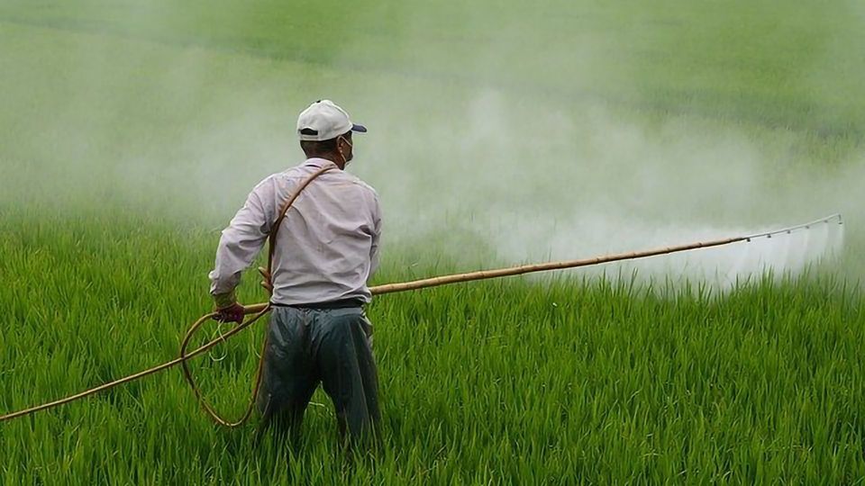 Quick, Cheap Method for Detecting Glyphosate