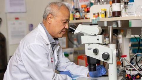 Study Points to Potential New Treatment for Pancreatic Cancer