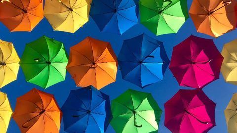 VR Study Participants Fail To Notice Color Removal From 95% of Their Visual World