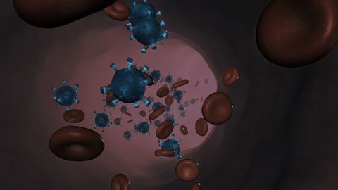 Large Study Suggests Blood Type O May Be a Protective Factor Against COVID-19