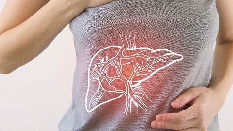 CN Bio and Cambridge University Identify Novel Regulatory Pathway Driving NASH