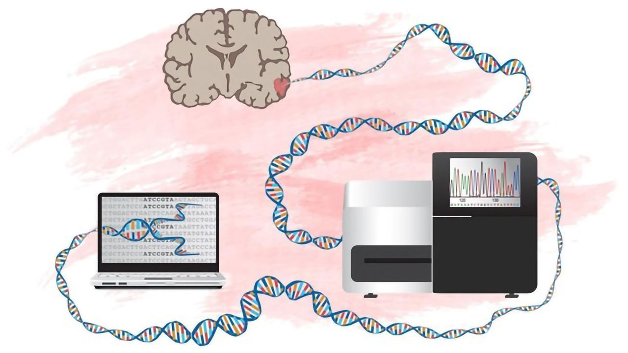 A New Way To Identify Genes That Drive Development of Brain Tumors