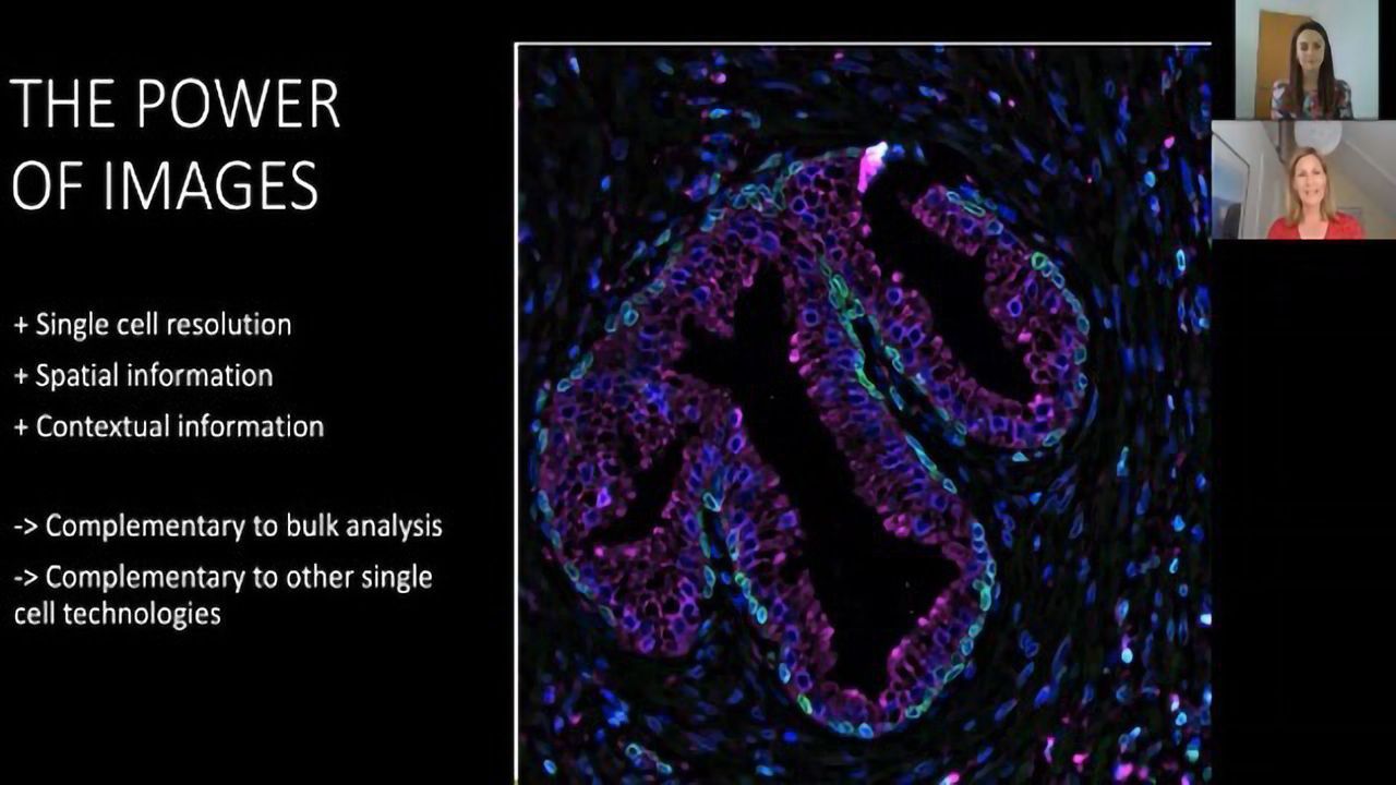Teach Me in 10 – Antibody-based Imaging With Dr Charlotte Stadler