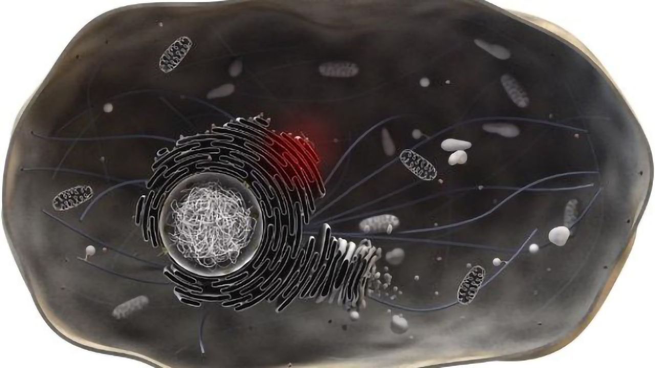 Cellular Stress Causes Cancer Cell Chemoresistance