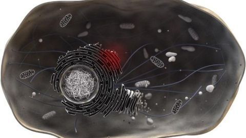 Cellular Stress Causes Cancer Cell Chemoresistance