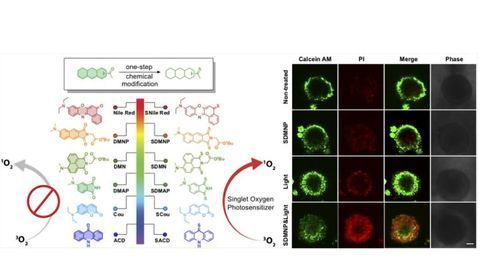 Team Converts Fluorescent Tags Into Cancer Killers