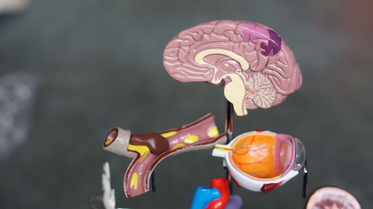 Why COVID-19 Is a Threat to the Entire Nervous System
