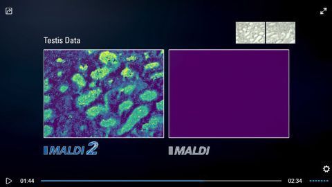 Introducing the MALDI-2 on timsTOF fleX: MALDI-2, redefining ionization for >100x increased signal a