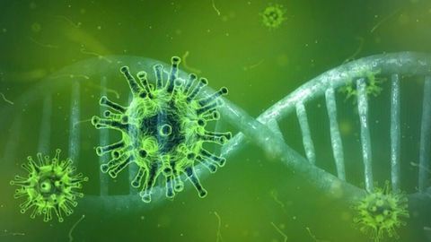 Mutation of Coronavirus Is Significantly Increasing Its Ability To Infect