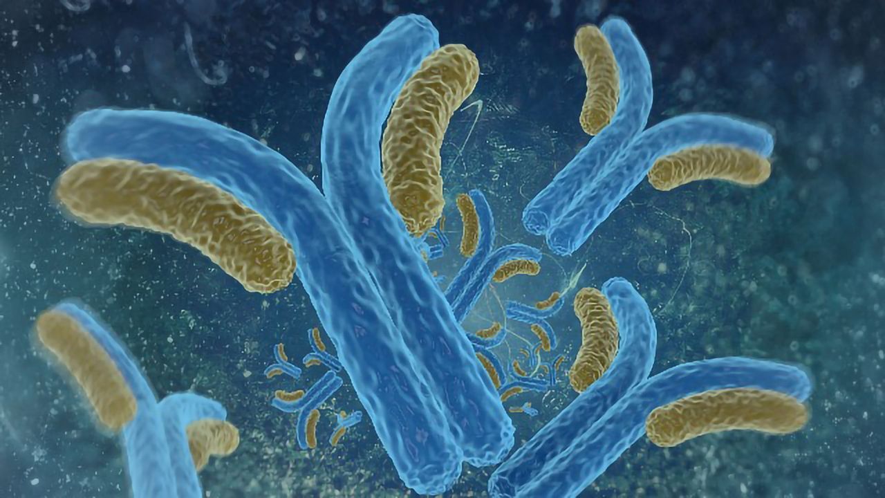 Beckman Coulter’s SARS-CoV-2 IgG Antibody Test Available in Markets Accepting the CE Mark