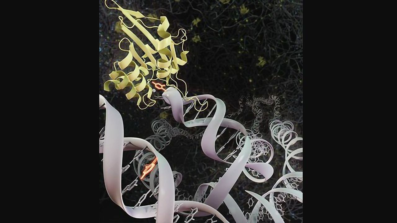 Exploiting Cancer Cell Vulnerabilities To Create More Effective Cancer Therapies