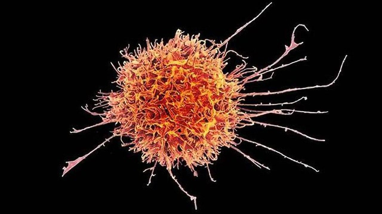 Boosting the Anti-tumor Activity of Natural Killer Cells