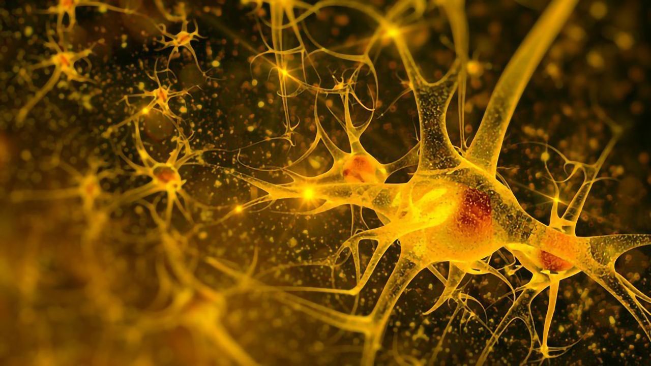 The Delta Opioid Receptor – A Promising Drug Target for Inflammatory Pain Relief?