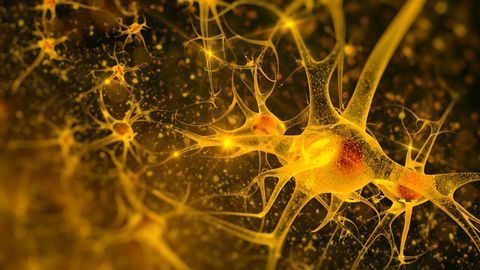 The Delta Opioid Receptor – A Promising Drug Target for Inflammatory Pain Relief?
