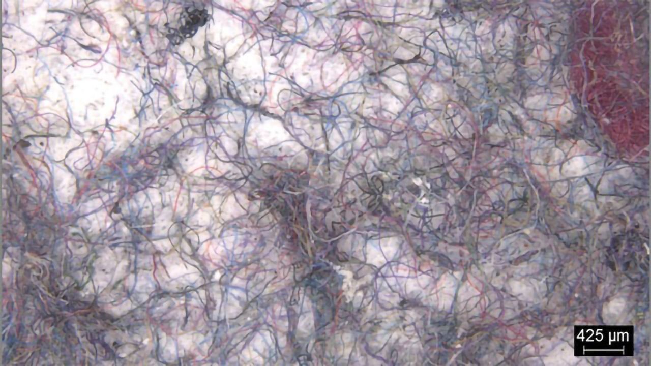 Changing Our Washing Habits Could Reduce Microplastic Pollution