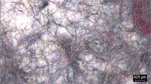Changing Our Washing Habits Could Reduce Microplastic Pollution