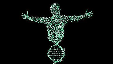 Could Ancient DNA Help Boost the Immune Functions of Modern Humans?