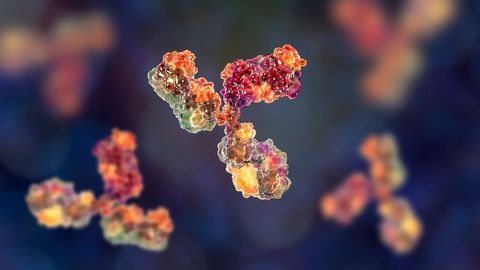 “Super Potent” COVID-19 Neutralizing Antibodies Isolated and Successfully Tested in Animals