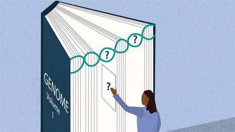 Accurately Detecting Large Genetic Mutations Linked to Major Diseases