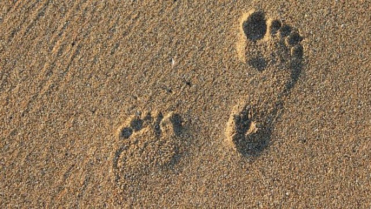GenNext Technologies and NeoProteomics Announce an Alliance in Biomolecular Footprinting