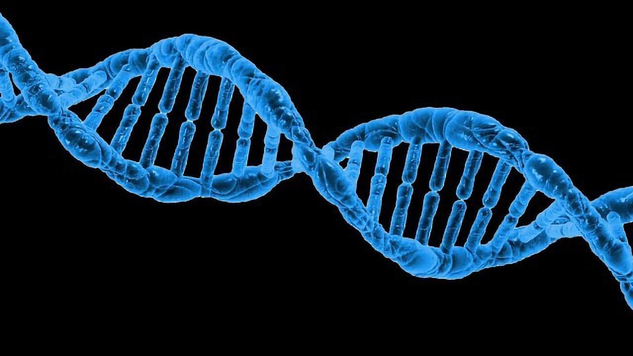 Susceptibility to Carcinogens Differs Due to Genetics