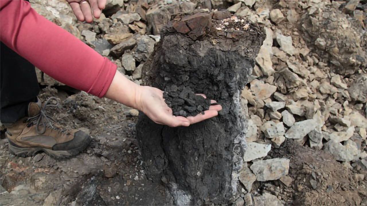 Earth's Biggest Extinction Event Was Caused by Coal Burning