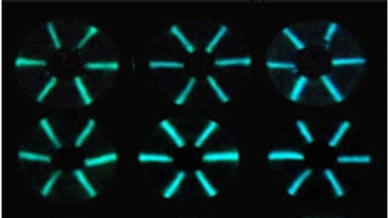 Detecting Antibodies With Glowing Proteins, Thread and a Smartphone