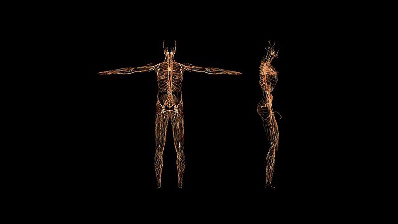 Vagus Nerve Stimulation Breakthrough Suggests Route To Therapies for Arthritis, Heart Failure