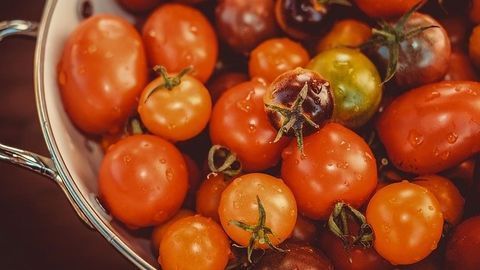 Tomato's Hidden Mutations Give Us Huge Variety