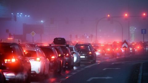 Rat Study Shows How Air Pollution Impacts Early Brain Development