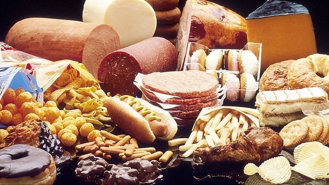 Bacteria May Help You To Manage Your Cholesterol