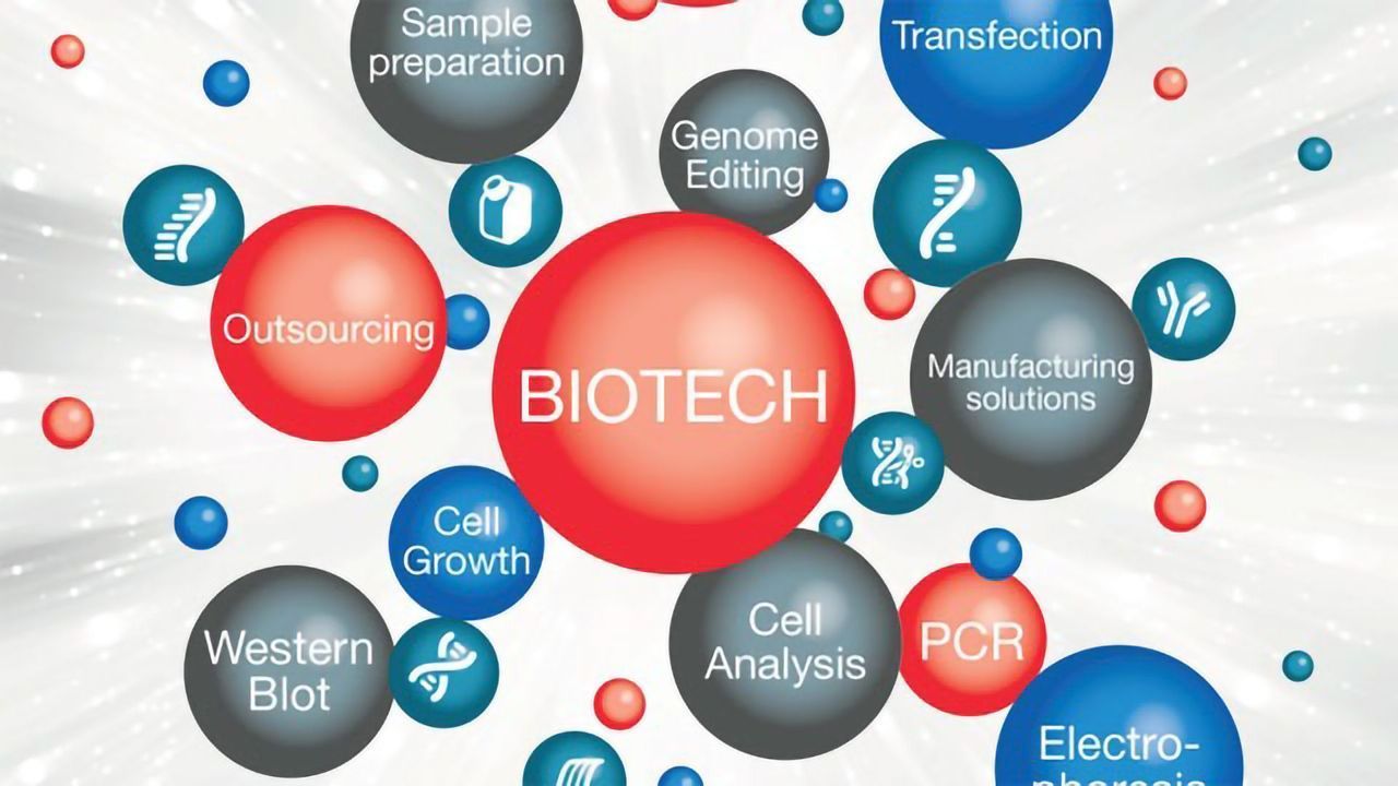 生物技术要素：从一开始就取得成功