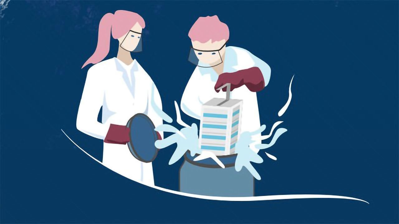 The Big Freeze: Cryopreservation Benefits, Challenges and Troubleshooting
