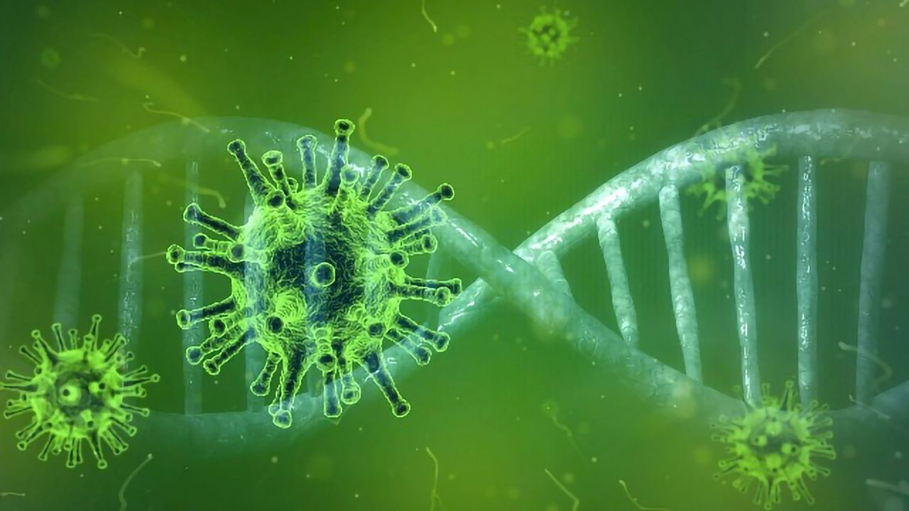 Metagenomics As a Tool To Diagnose and Understand COVID-19