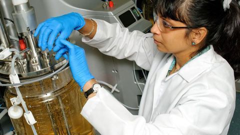 Lonza Launches New Media and Feeds to Support Recombinant Protein Production Scale-Up