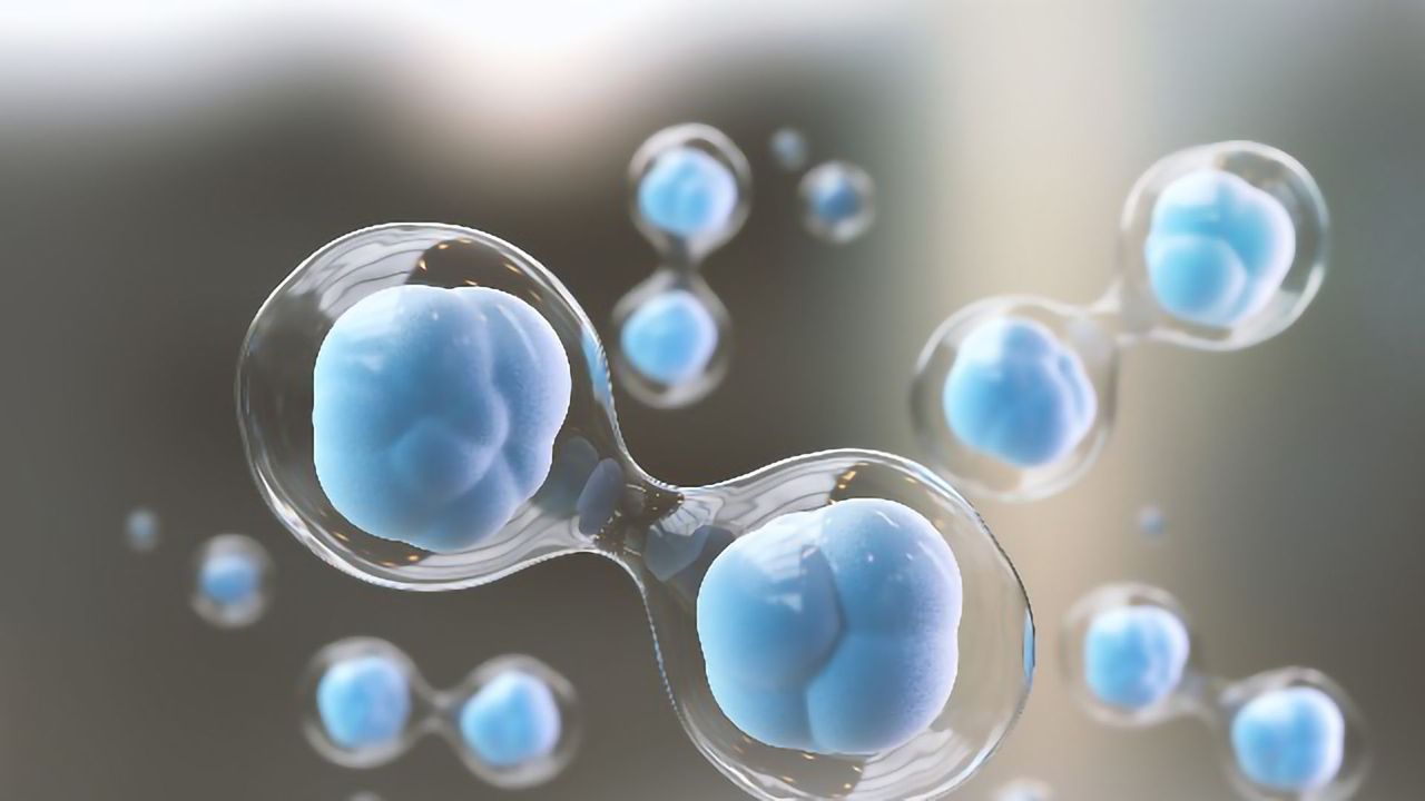 Teach Me in 10 – Cell Senescence, Aging and Disease With Professor Judith Campisi