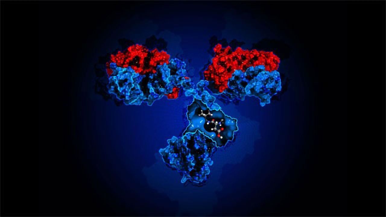 Advancing Biopharmaceutical Development With the Multi-Attribute Method