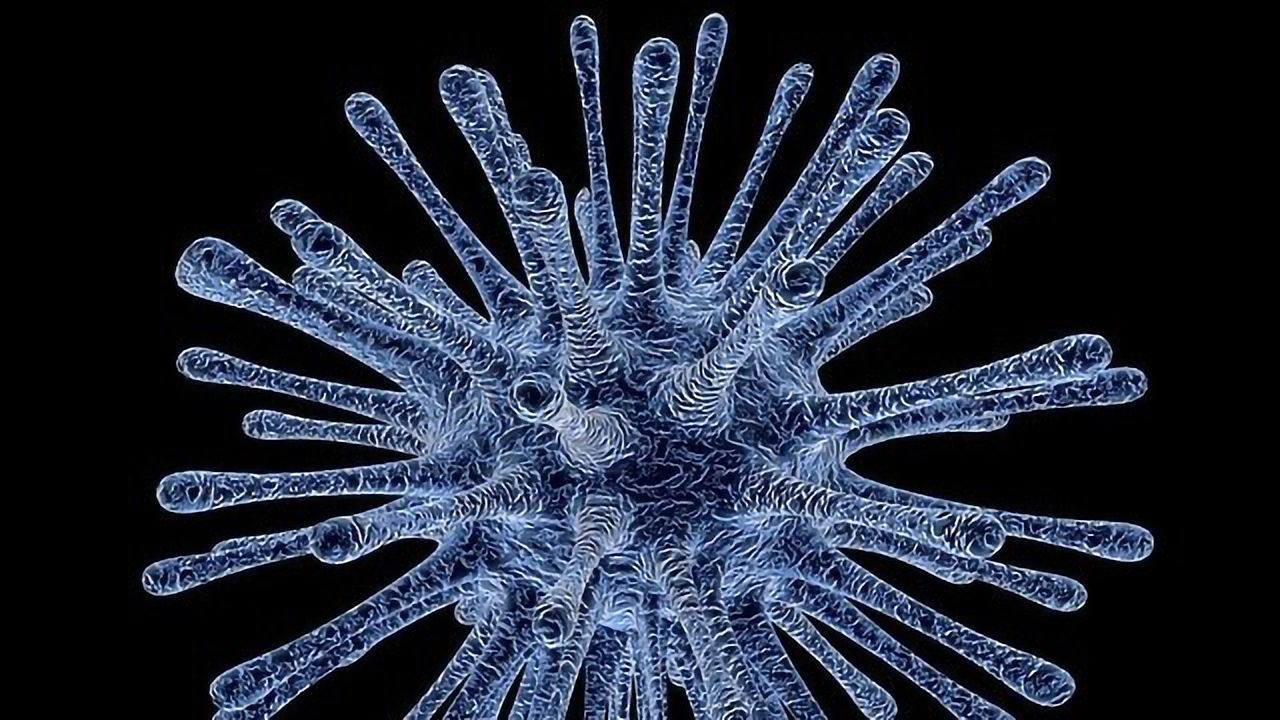 Viruses Can Steal Our Genes To Make Unexpected Proteins