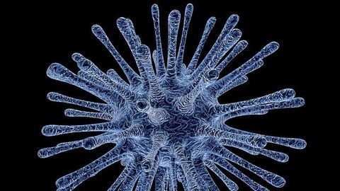 Viruses Can Steal Our Genes To Make Unexpected Proteins