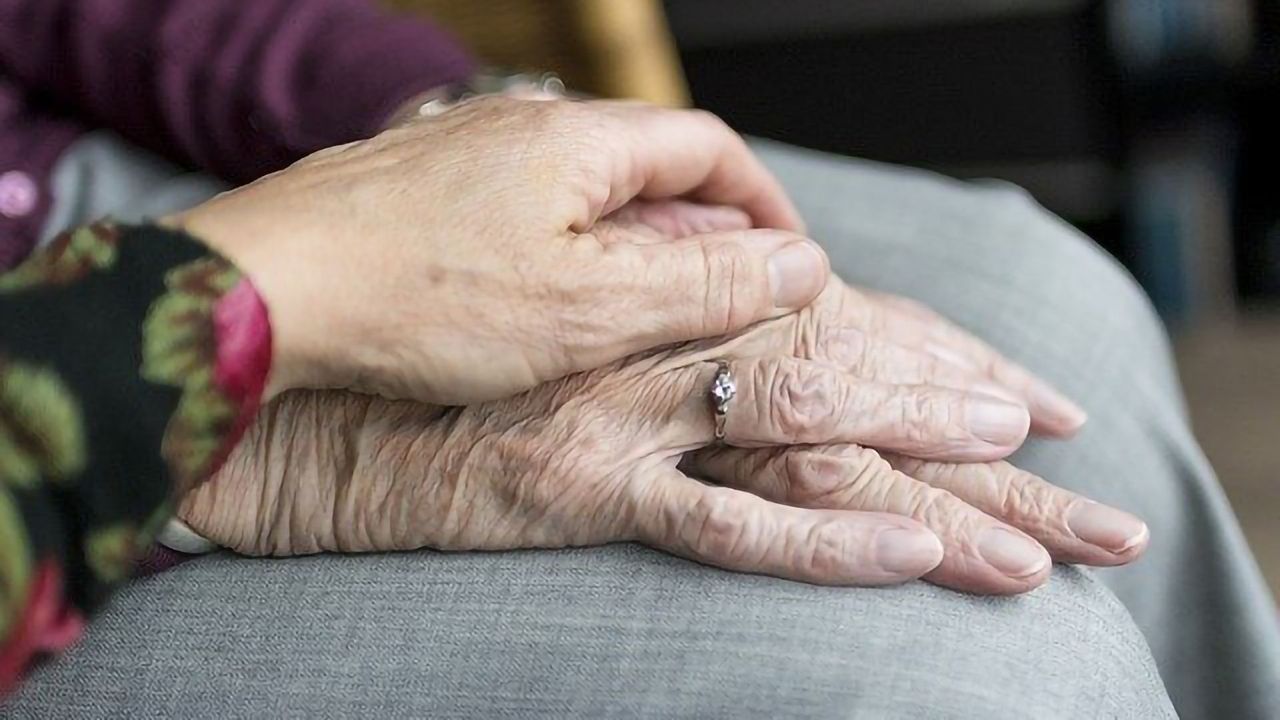 Overabundance of Opportunistic Pathogens Identified in Gut of Parkinson's Disease Patients