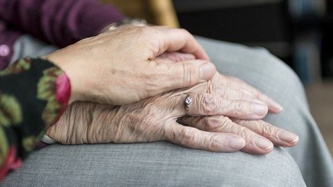 Overabundance of Opportunistic Pathogens Identified in Gut of Parkinson's Disease Patients