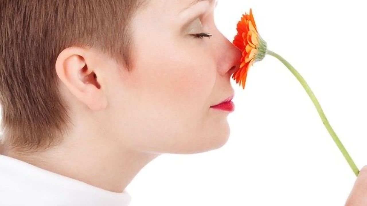 "Synthetic Smells" Help Reveal How the Brain Perceives Odor