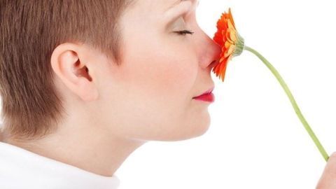 "Synthetic Smells" Help Reveal How the Brain Perceives Odor
