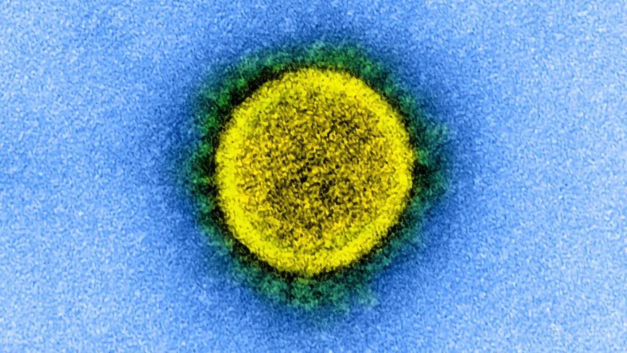 Fighting the COVID-19 Pandemic Through Testing