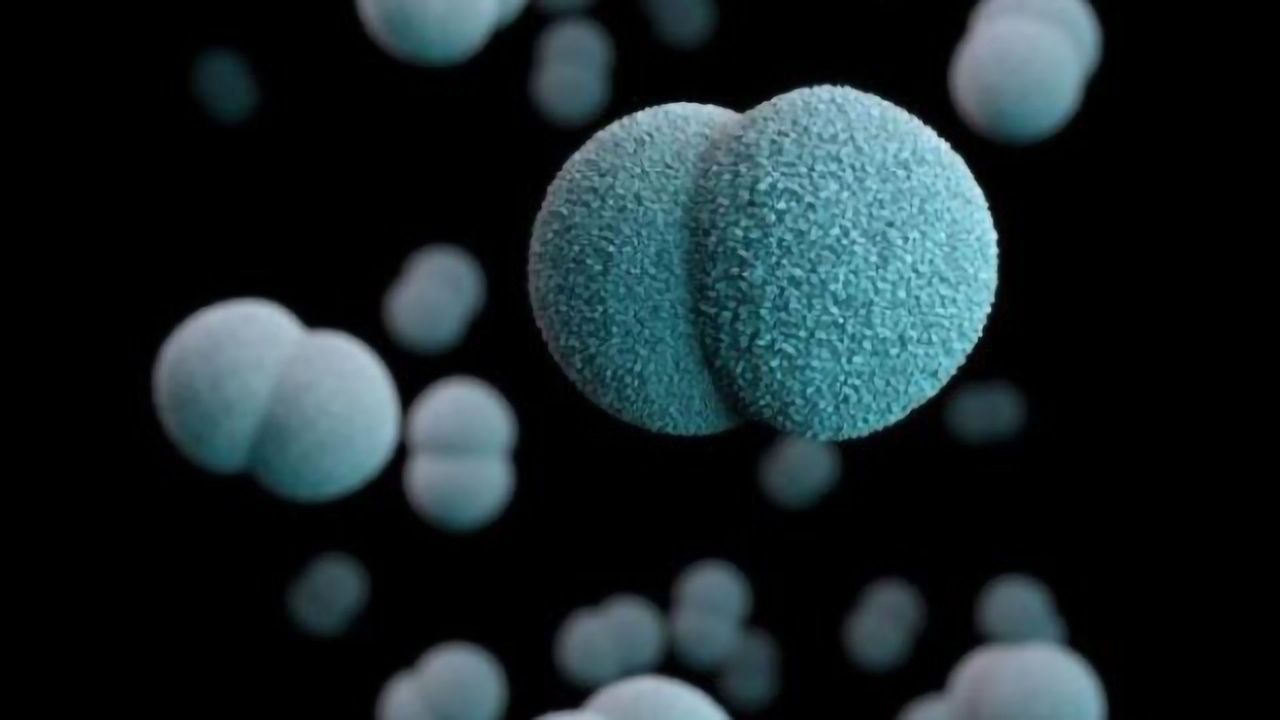 CDC Reports a Novel Strain of Antibiotic-resistant Meningitis