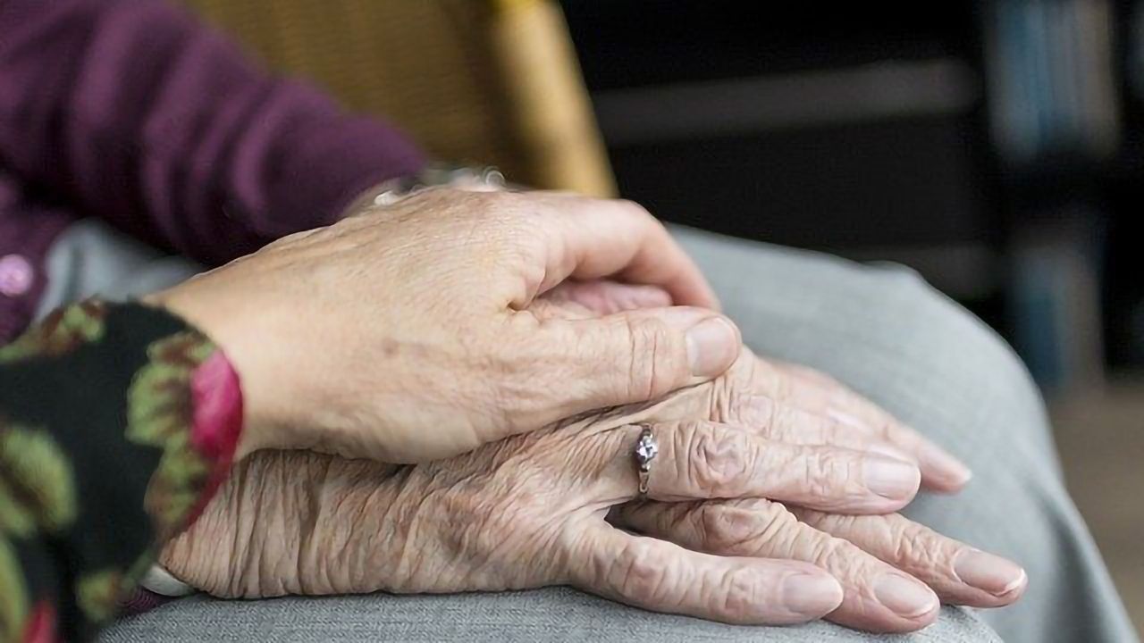 Genetic Mutations as a Tool To Predict Lifespan and Fertility