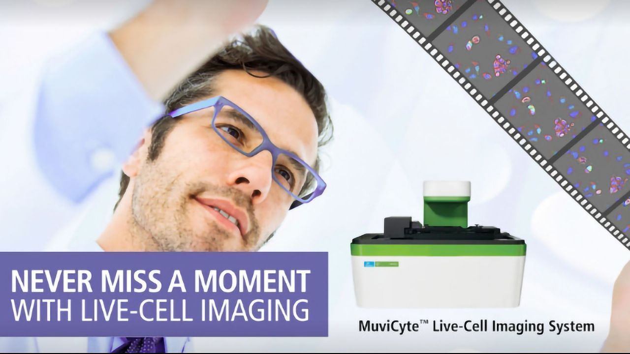 Never Miss a Moment with the MuviCyte Live-Cell Imaging System from PerkinElmer